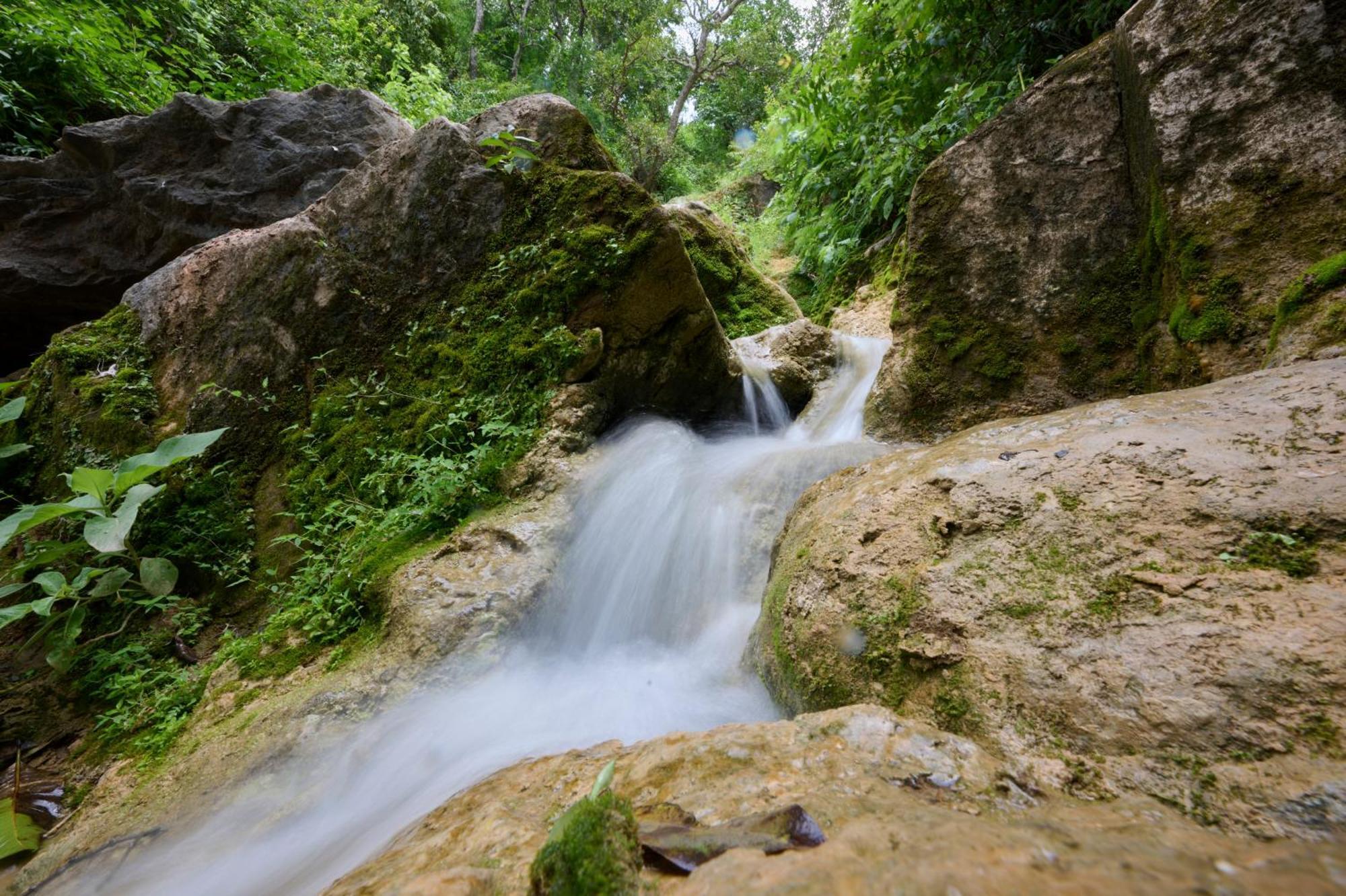 Renest Kumbhalgarh Otel Dış mekan fotoğraf